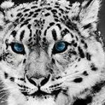 Profile Picture of Alix Thomas (@alix.thomas05) on Instagram