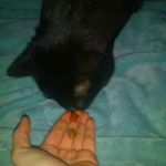 Profile Picture of Hal Henry Holmes (@halholmess) on Instagram