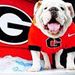Profile Picture of Joe Burrell (@joeburrell1052) on Pinterest