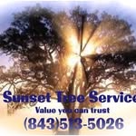 Sunset Tree Service, LLC - Instagram Profile Picture of Sunset Tree Service, LLC (@benjaminslingerland) on Instagram