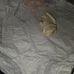 Profile Picture of Brian Castor (@brian.castor.7503) on Facebook