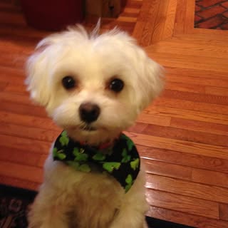 Profile Picture of Toby Casper Harmon (@tobyharmon) on Instagram