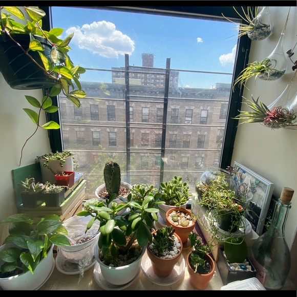 Hillary Ramirez - Poshmark Profile Picture of Hillary Ramirez (@hillesther) on Poshmark