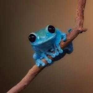 Profile Picture of Jonah Litz (@jonah.litz) on Tiktok