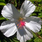 Profile Picture of Michele Larkin McCormick (@michelemc_524) on Instagram