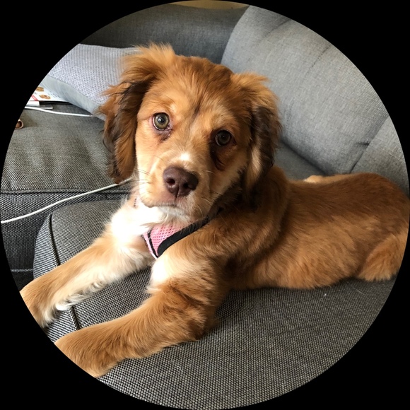 Profile Picture of Taz Clayburn (@iammamataz) on Poshmark