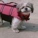 Profile Picture of Melba Tolbert (@melbatolbert781) on Pinterest
