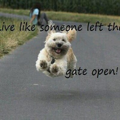 Karen Bainbridge - Twitter Profile Picture of Karen Bainbridge (@k4ren78) on Twitter