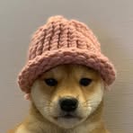 Profile Picture of Matteo Vitellaro (@matteo.vitellaro.9) on Facebook