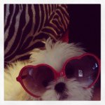 Tina Borror - Instagram Profile Picture of Tina Borror (@tinaborror) on Instagram