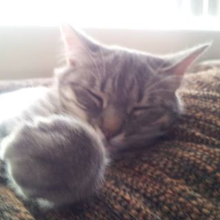 Profile Picture of Scotty Gentle (@scotty.gentle) on Facebook