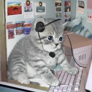 Rudy Ibanez - Myspace Profile Picture of Rudy Ibanez (@rudogg) on Myspace