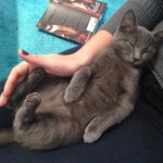 Profile Picture of Ruthe Cromley (@jeanstroler) on Instagram