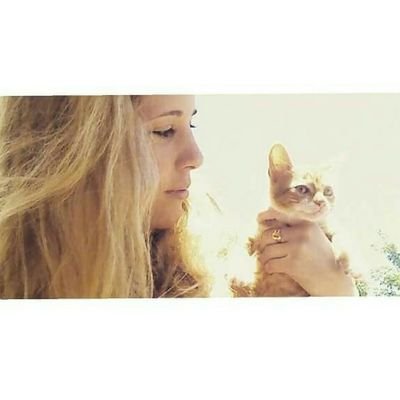 Profile Picture of Cindy Fitzsimons (@CindyFitzsi) on Twitter
