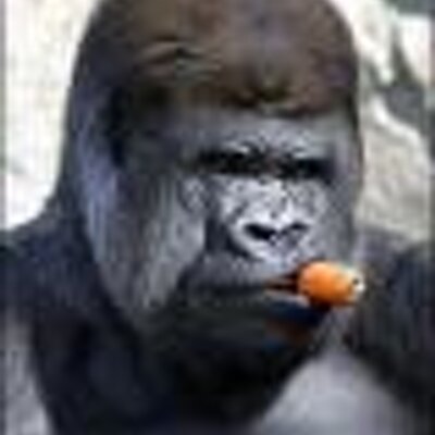 Profile Picture of Quinn Fisher (@qfisher) on Twitter