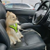 Profile Picture of Ade Williams (@ade-williams-13) on Quora