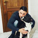 Profile Picture of Lorenzo Castro (@castrolore) on Instagram