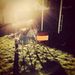 Profile Picture of Alex Hickerson (@alexhickerson) on Pinterest