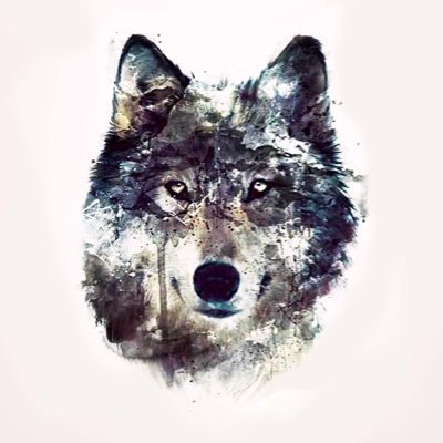 Profile Picture of Kevin Nolin (@KevinNolin2) on Twitter
