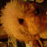 Profile Picture of Alexia ayala (@kitty_bonita1) on Instagram