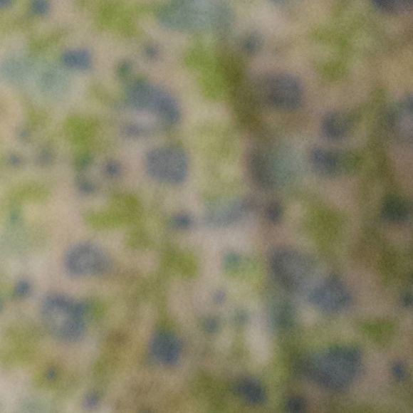 Profile Picture of Lynette Hanson (@gram69) on Poshmark