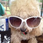 janetwarfield77 - Instagram Profile Picture of janetwarfield77 (@janetwarfield77) on Instagram