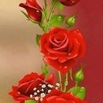 Profile Picture of Nati León (@natividad.barrientos.92) on Instagram