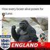 Profile Picture of Allan Howe (@allan.howe.735) on Facebook