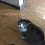 Profile Picture of Jeffery Pabst (@jeffery.pabst) on Facebook