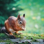 Profile Picture of Lamon Mark (@Lamon-Mark) on Facebook