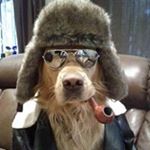 Profile Picture of Doug McDaniel (@dougmcdaniel1) on Instagram