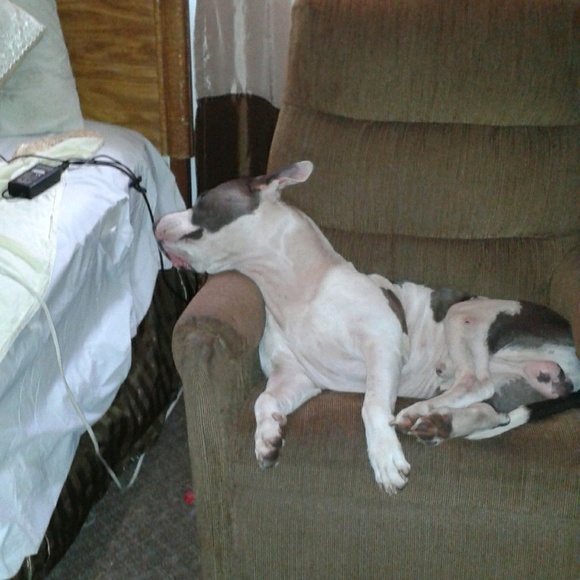 Profile Picture of Ruby Mckeever (@rubymckeever) on Poshmark