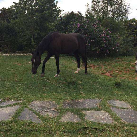 Profile Picture of Libby Carter (@bookworksofsc) on Poshmark