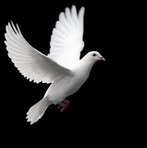 Profile Picture of Tabitha Schmit (@Tabitha-Schmit) on Facebook