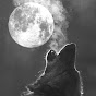 Profile Picture of Moon Wolfe (@@brigjenw86) on Tiktok