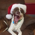 Profile Picture of Michael (@m3_knoeller) on Instagram