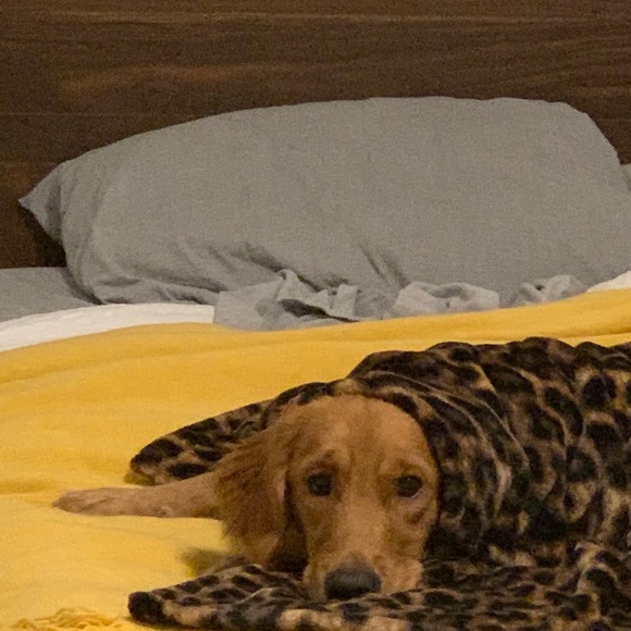 Profile Picture of Carson Manselle (@carsonmanselle) on Poshmark