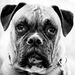 Profile Picture of Rory Bradsher Armentor (@roryarmentor) on Pinterest