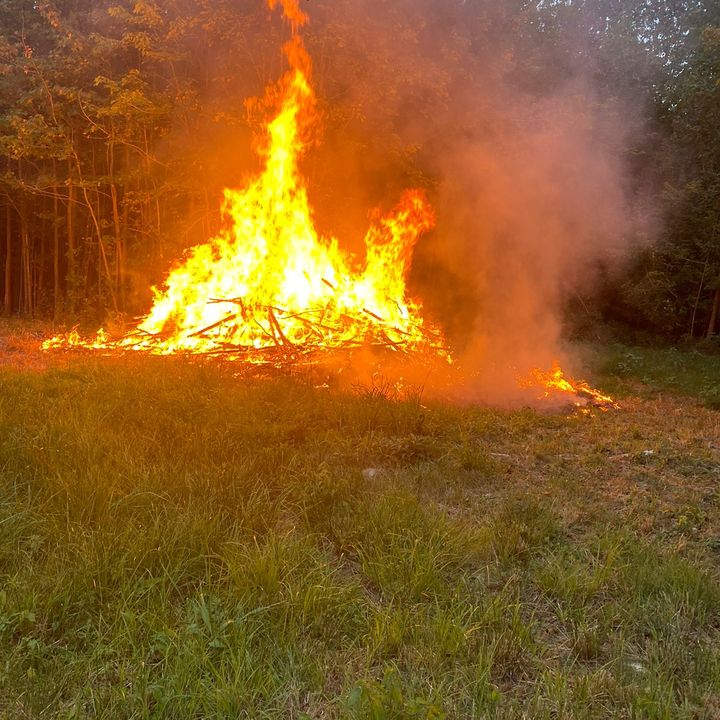 Profile Picture of Alvin (@catracho4everr) on Tiktok