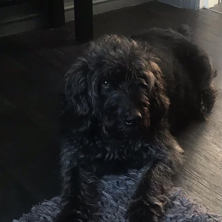 Profile Picture of debragladwin (@debragladwin) on Tiktok