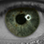 Profile Picture of Gianmrco Dodesini Valsecchi (@gpindaro) on Flickr