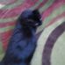 Profile Picture of Joyce Zeller (@Joyce-Zeller) on Facebook