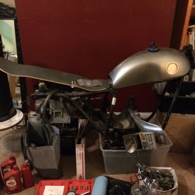 Profile Picture of Michael Kraemer (@michaelkraeme15) on Twitter