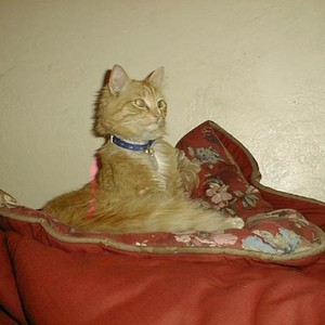 Jamie Stanton - Myspace Profile Picture of Jamie Stanton (@psycheofaporcelainsoul) on Myspace