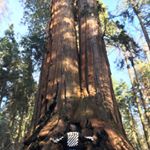 Profile Picture of Goffredo Schettino (@goffredo.schettino_) on Instagram