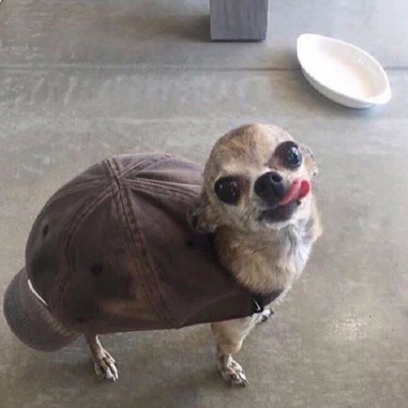 Profile Picture of Dominic Richardson (@mookmadness) on Poshmark