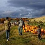 Profile Picture of Elaine Delisle (@ecatherine.delisle) on Instagram