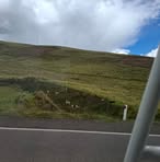 Profile Picture of Bernard Mayhua (@eloy.scott) on Facebook