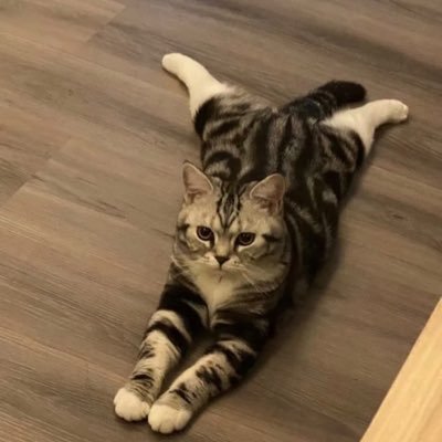 Profile Picture of Amber Gina Tsai (@aaethel_33) on Twitter