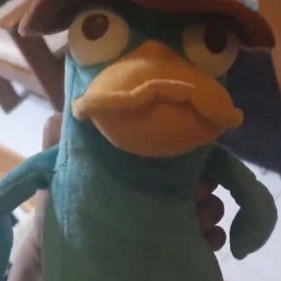 Profile Picture of Perry The Platypus Lover (@MarioPo51573603) on Twitter